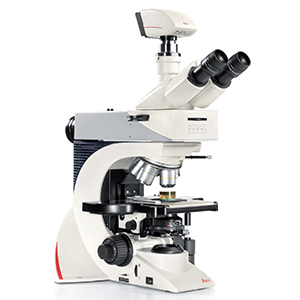 复合光学显微镜